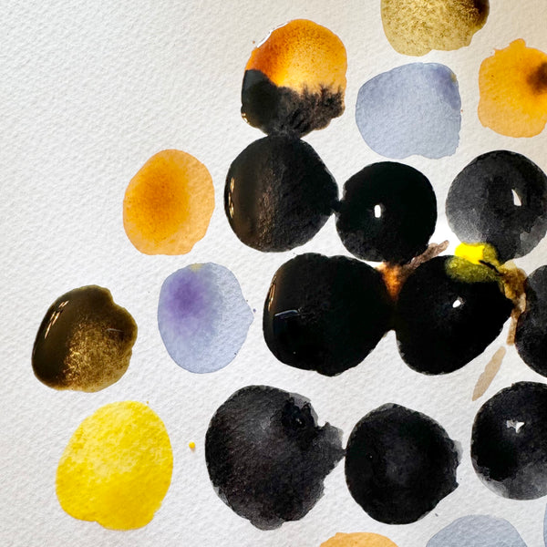 Introduction to Natural Inks and Paints - An In-Person Workshop in Wiltshire